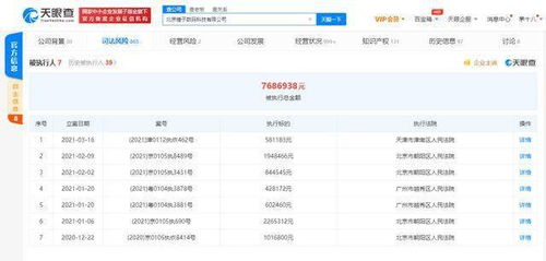 錘子科技關聯公司再成被執行人，面臨58萬執行標的