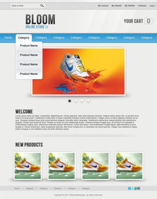 國外優(yōu)秀電子商務網(wǎng)頁設(shè)計教程與網(wǎng)絡(luò)工程實踐指南