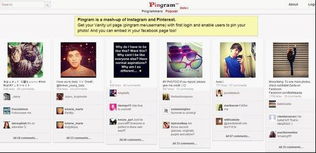 網站建設、設計與網絡工程 構建數字化未來的基石