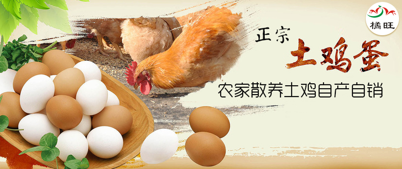 吸血鬼不壞 打破刻板印象的平面設(shè)計(jì)新作